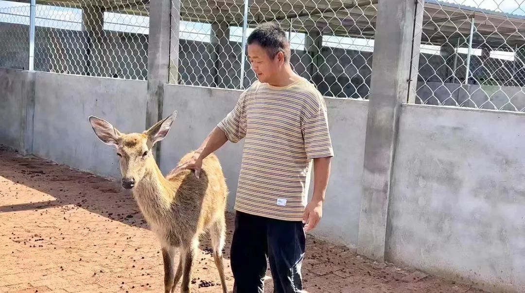 mg游戏试玩体验